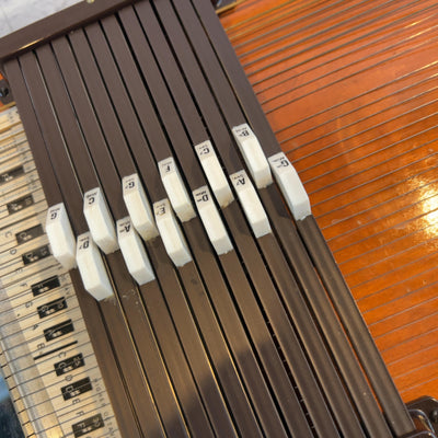 Oscar Schmidt Autoharp with Case Harp