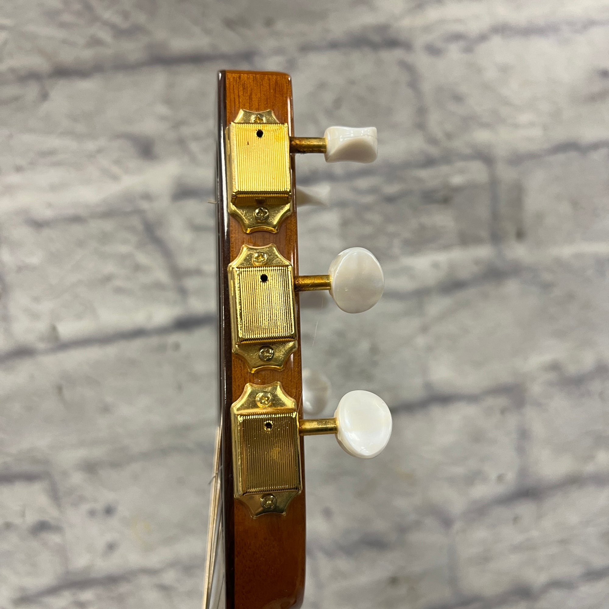 Johnson Gypsy Jazz Acoustic Guitar