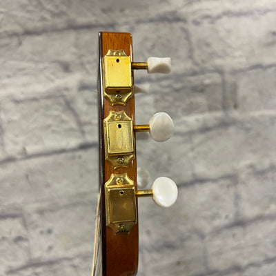 Johnson Gypsy Jazz Acoustic Guitar