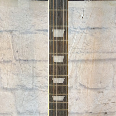 Epiphone Les Paul traditional pro II Electric Guitar/ W case
