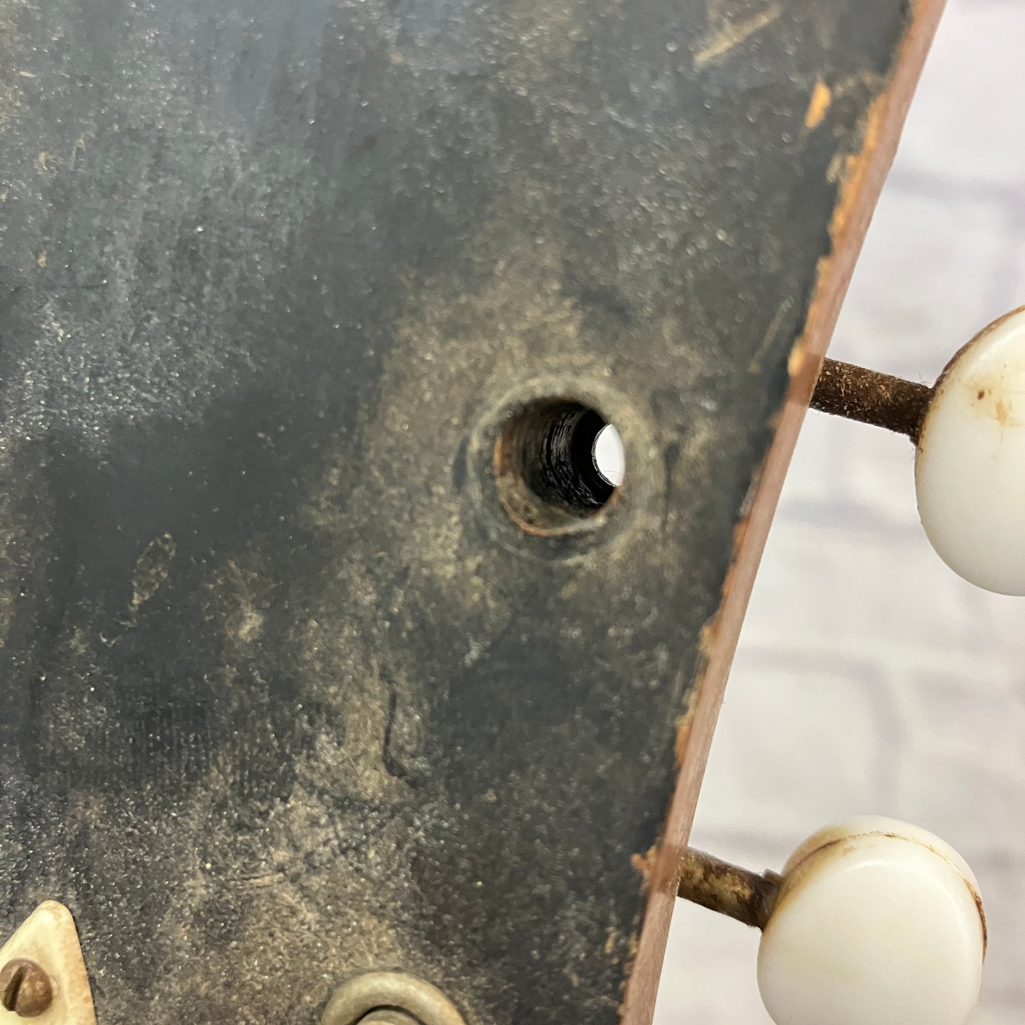 Harmony Vintage Acoustic Guitar Neck