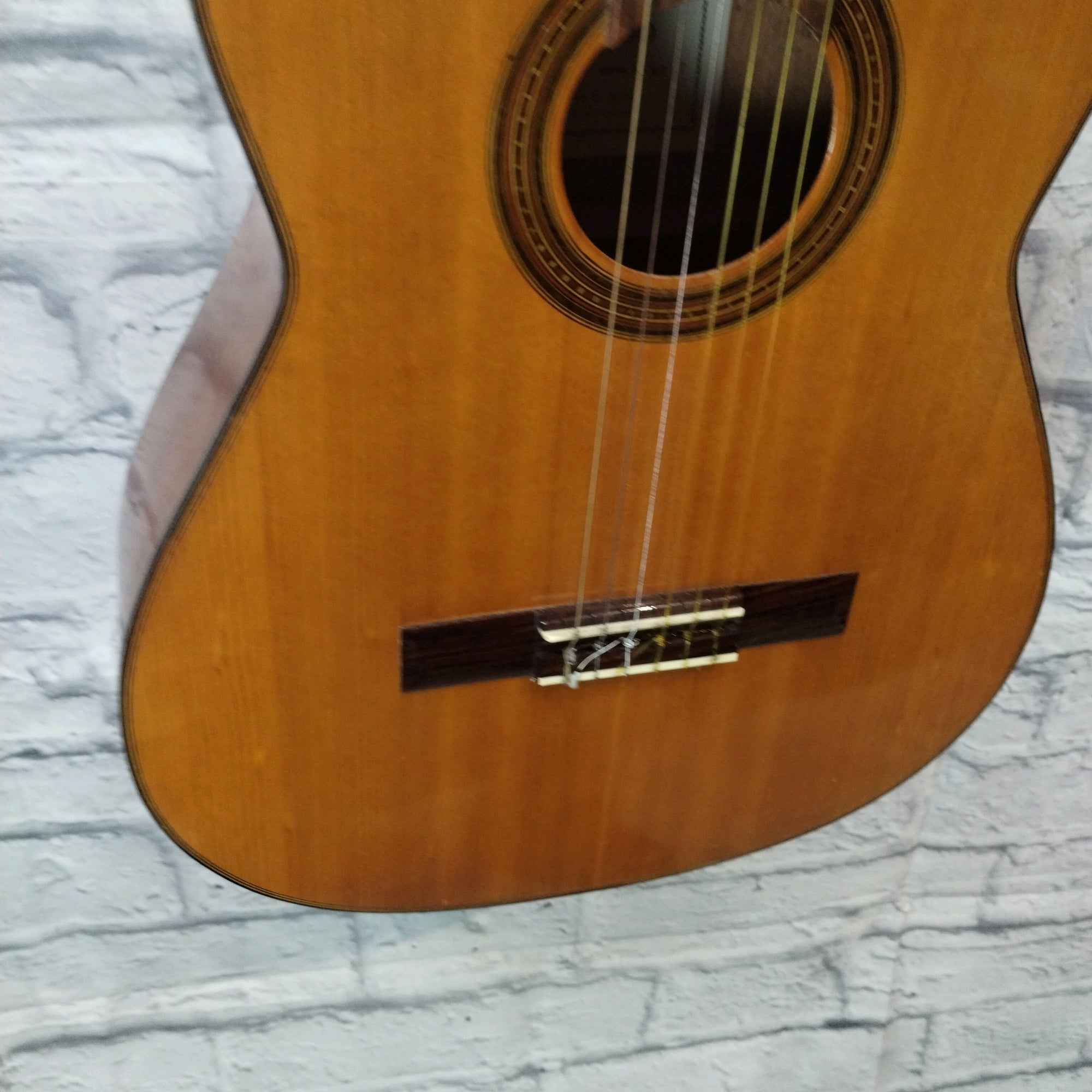 Tokai Dorado Classical Guitar