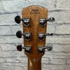 Alvarez AGW77CESHB Deluxe Acoustic Guitar - Walnut