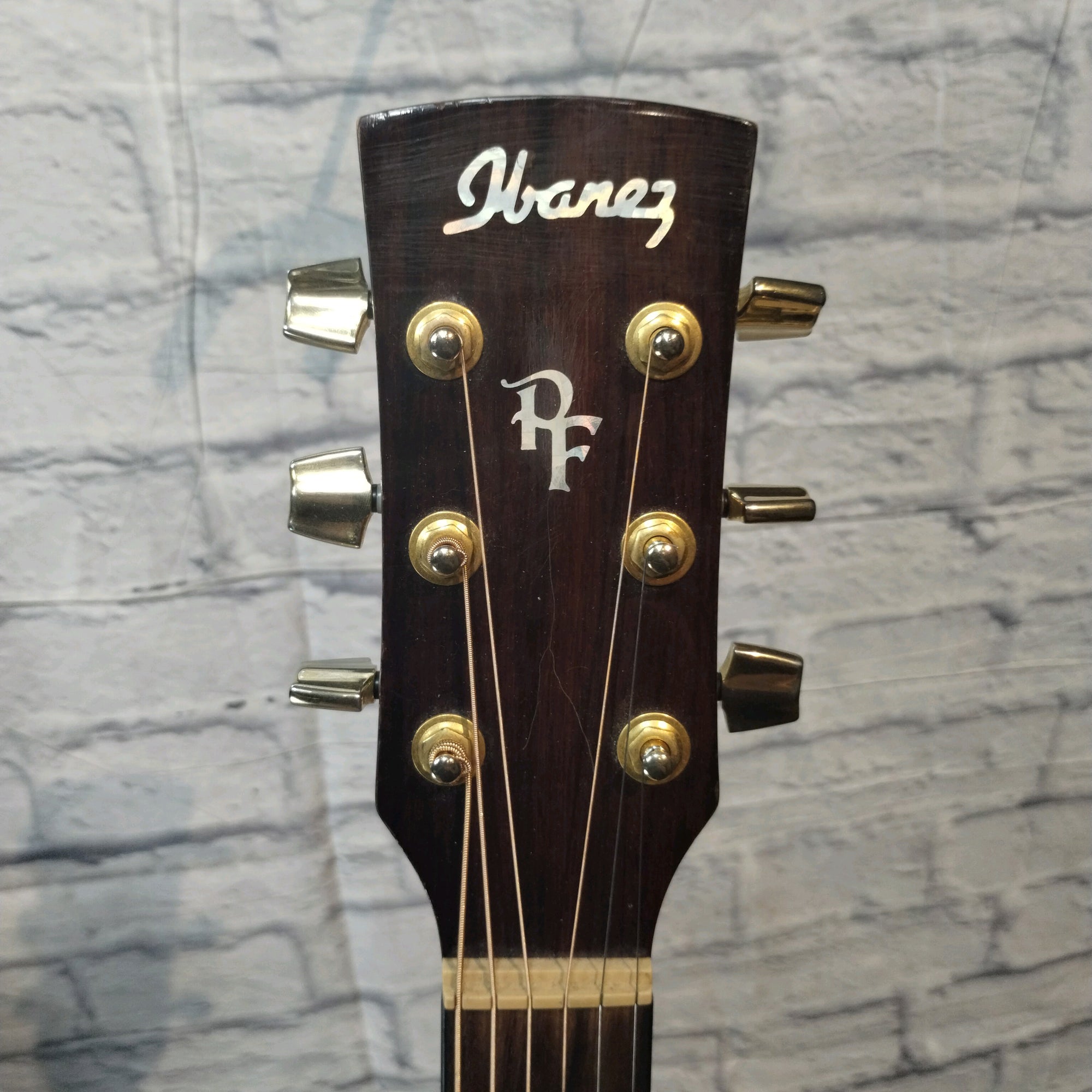 Ibanez PF5ece Acoustic Electric Guitar