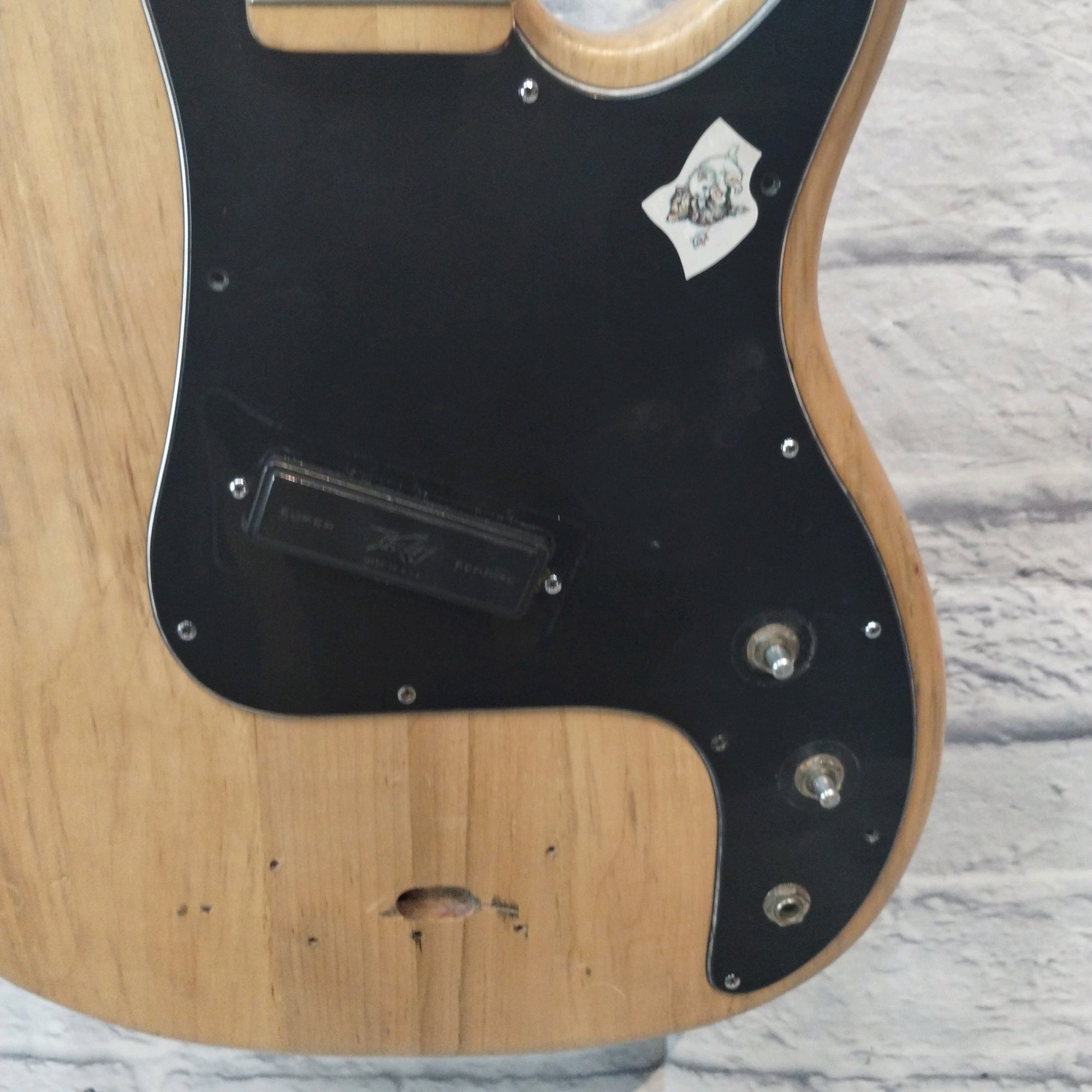 Peavey Fury Bass Husk