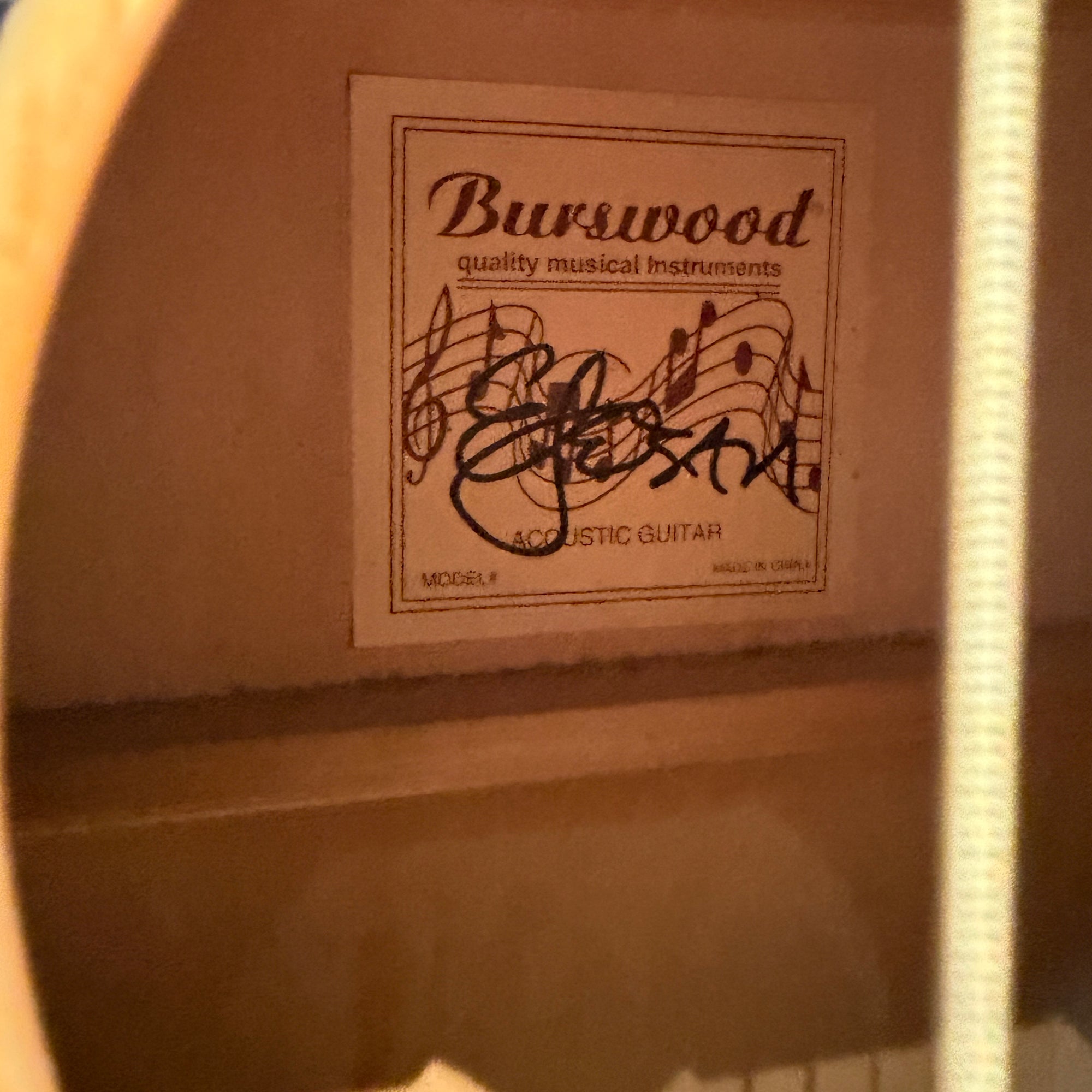 Burswood Acoustic Guitar