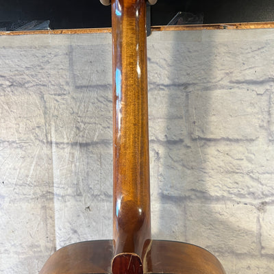 Ensenada GT30 12 String Acoustic Guitar