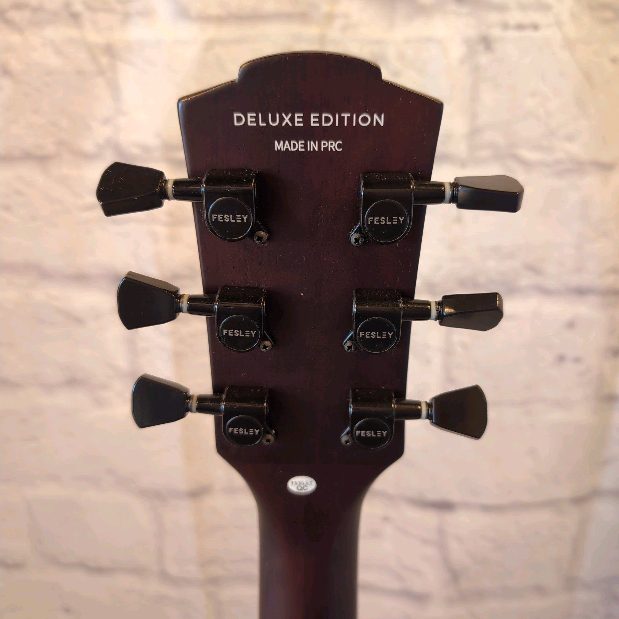 fesley FLP350 Missing Control Cover Electric Guitar