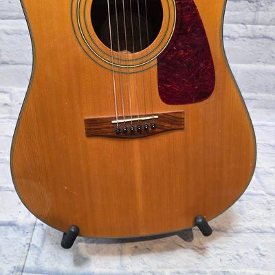 Fender Dreadnaught DG20s Nat Acoustic Guitar