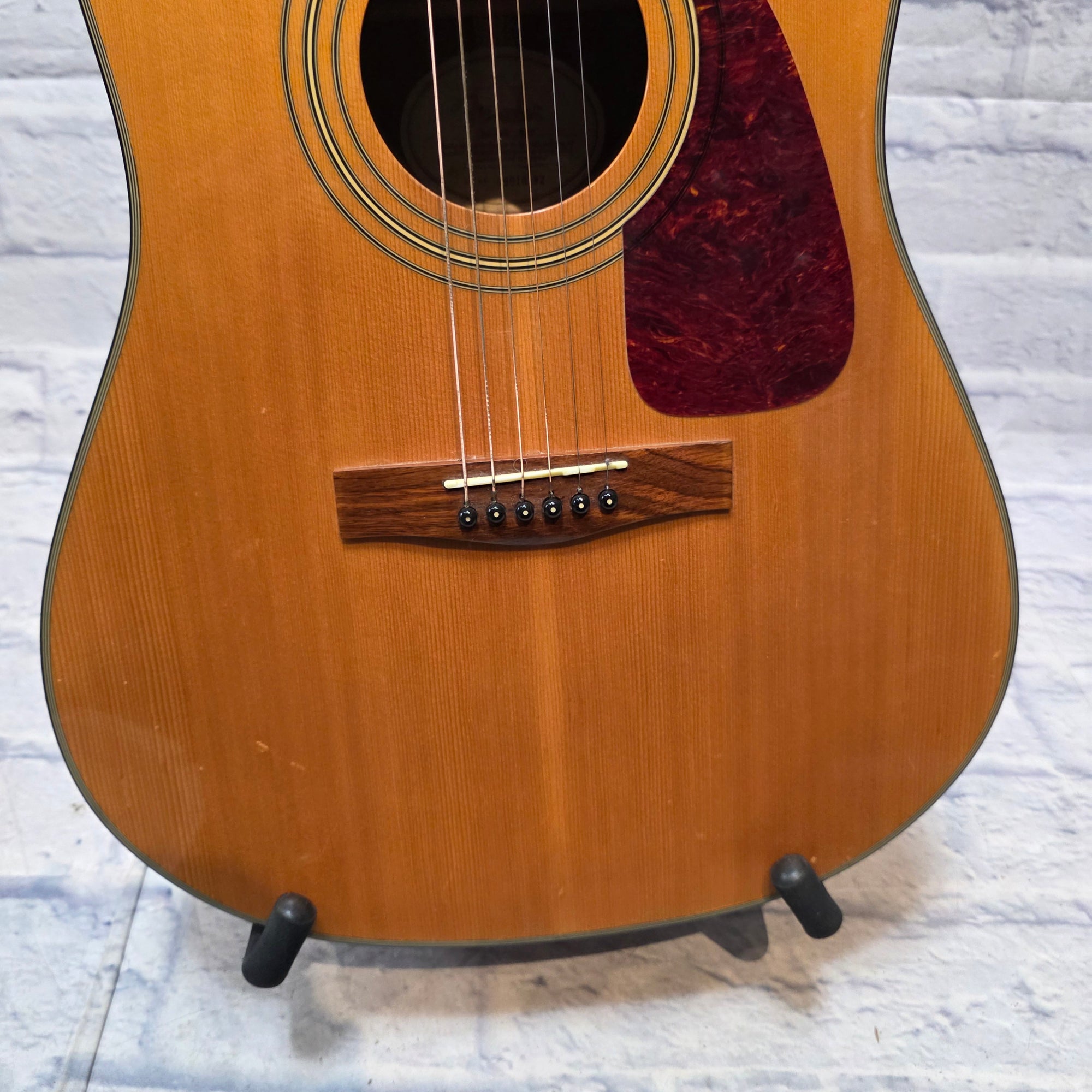 Fender Dreadnaught DG20s Nat Acoustic Guitar