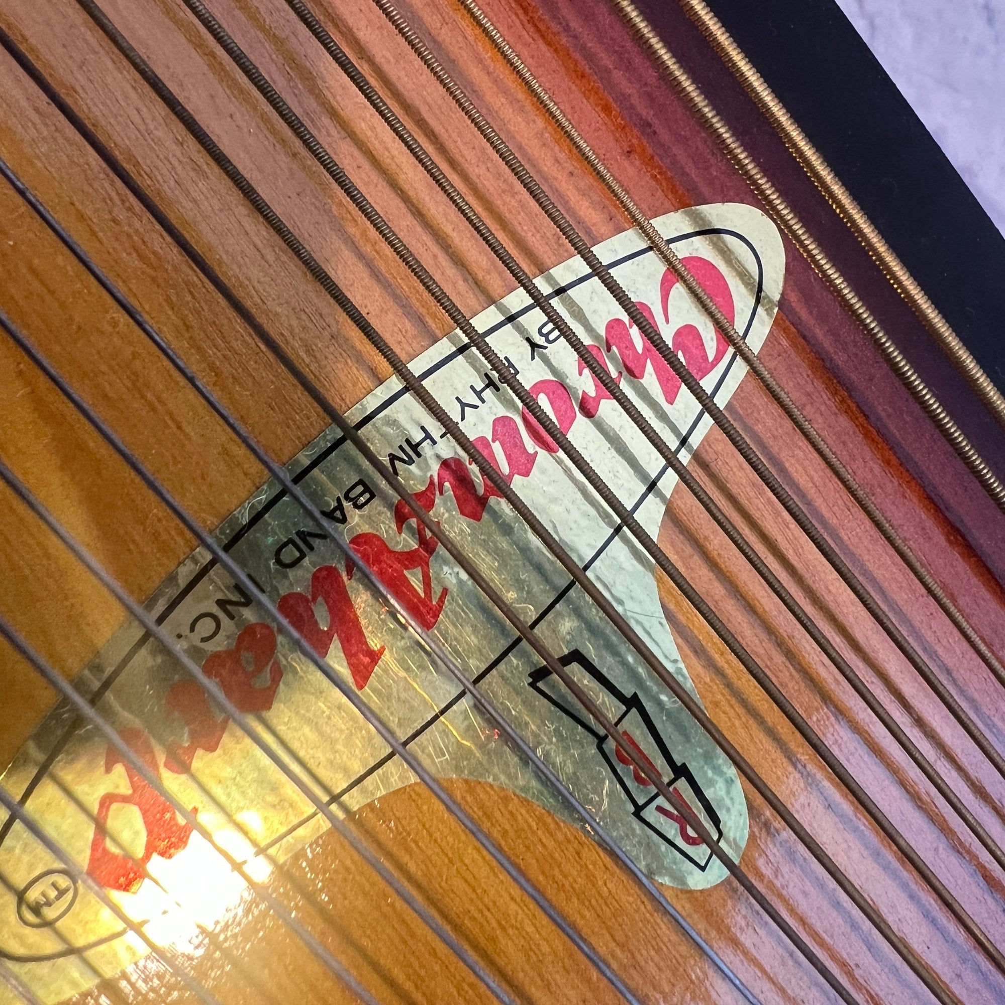 Rhythm Band Inc Chromaharp Autpharp with Case