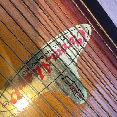 Rhythm Band Inc Chromaharp Autpharp with Case