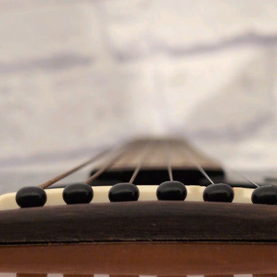 Epiphone DR-100 Acoustic Guitar