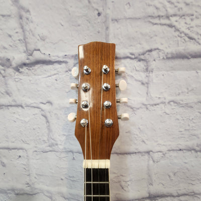 Unknown Vintage European Mandolin