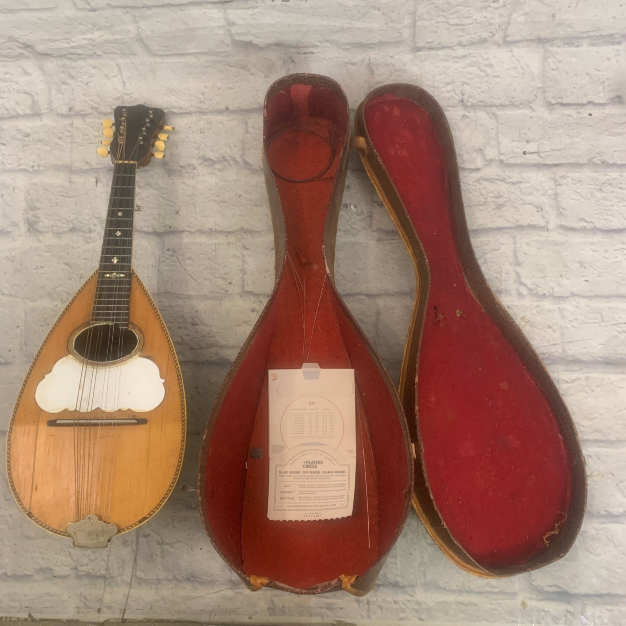 Washburn 1890's Bowlback Mandolin W/Case