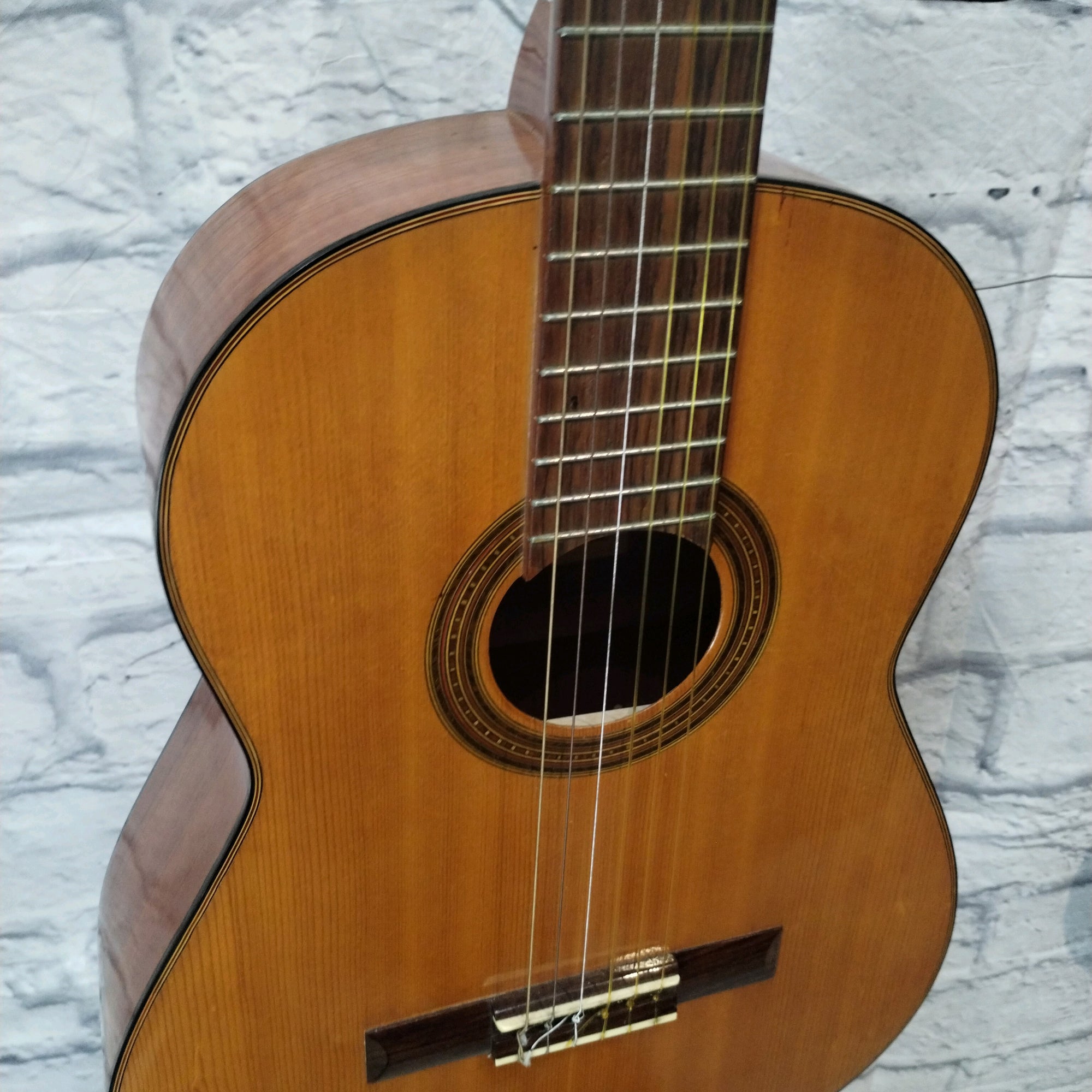 Tokai Dorado Classical Guitar