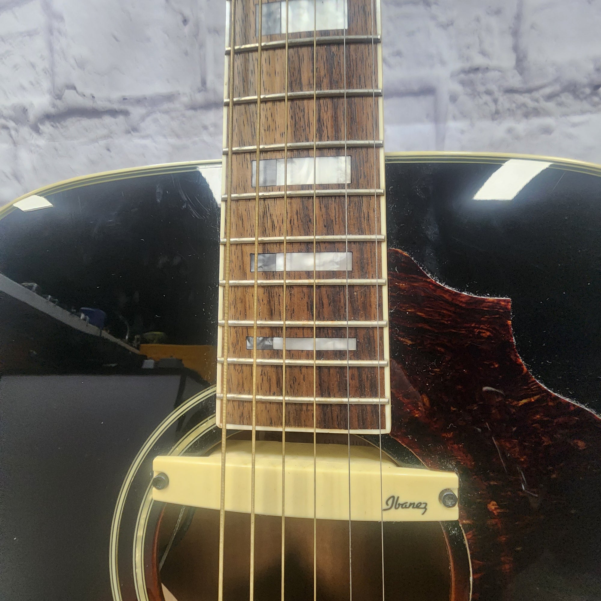 Ibanez SGE220-VS Acoustic Guitar