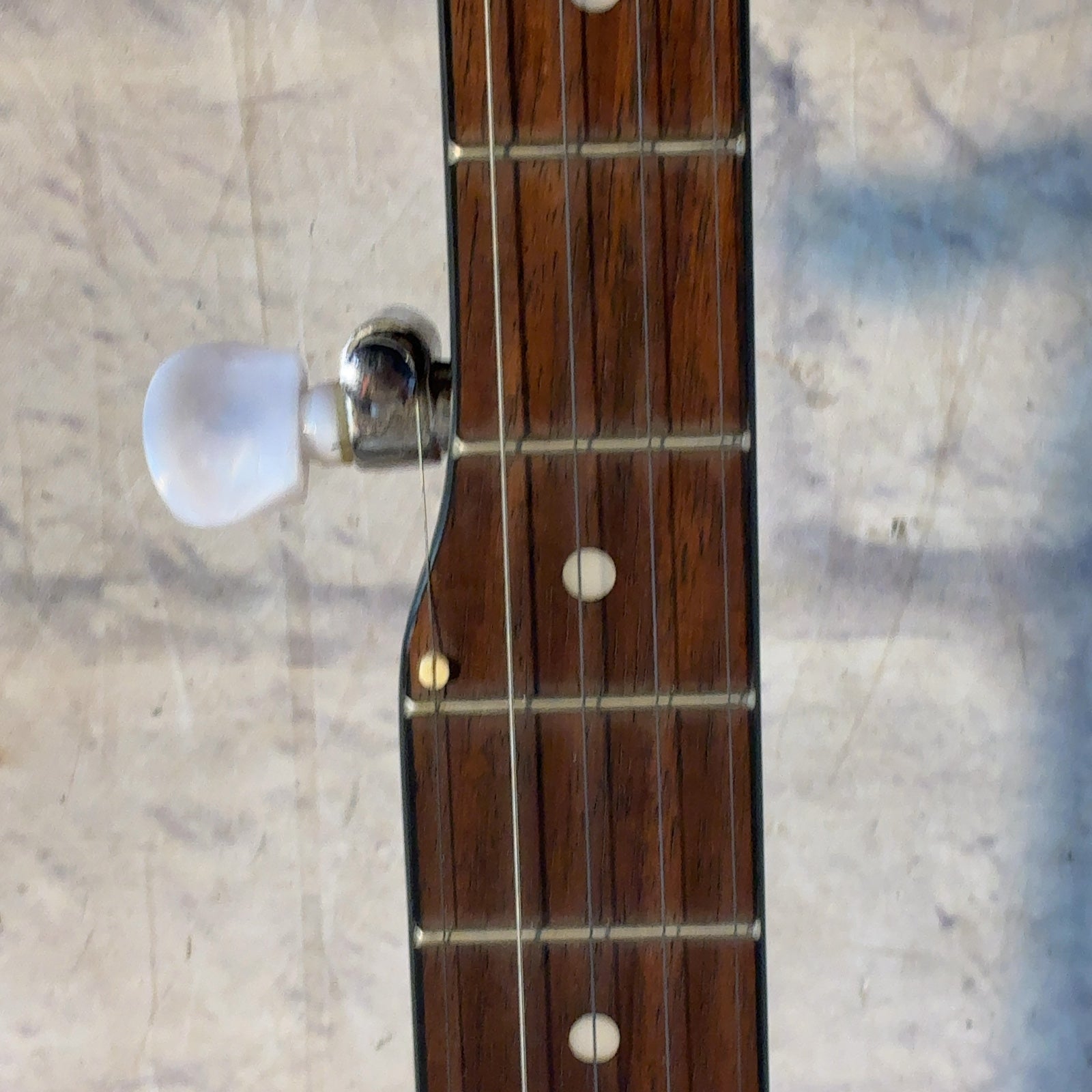 Johnson 5 string Red Mahogany Banjo