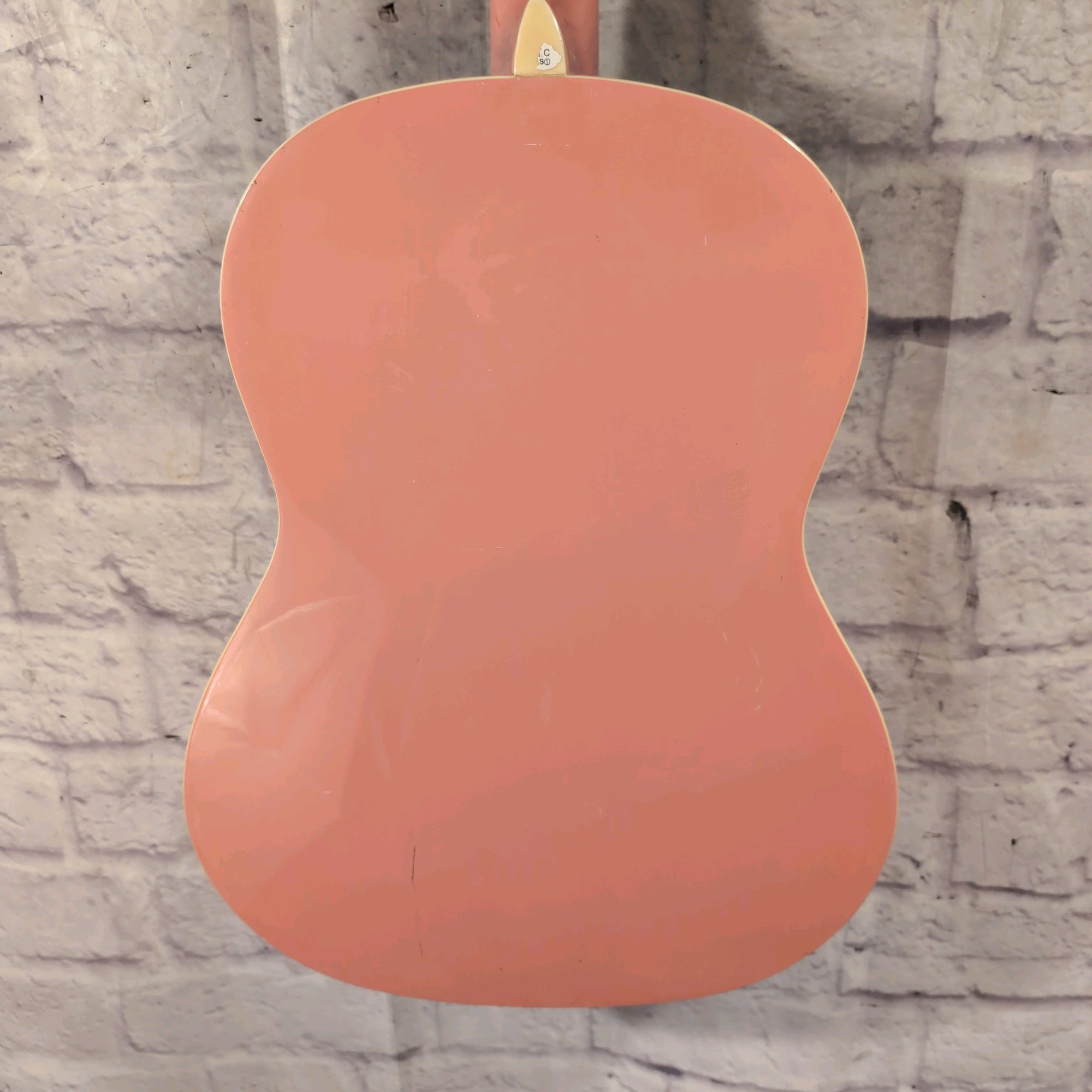 Rogue Pink Acoustic Guitar