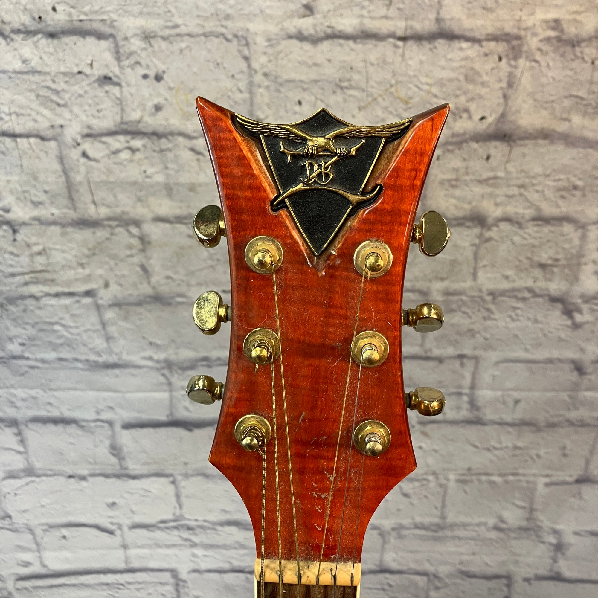 DBZ VRN DCFM Acoustic Guitar