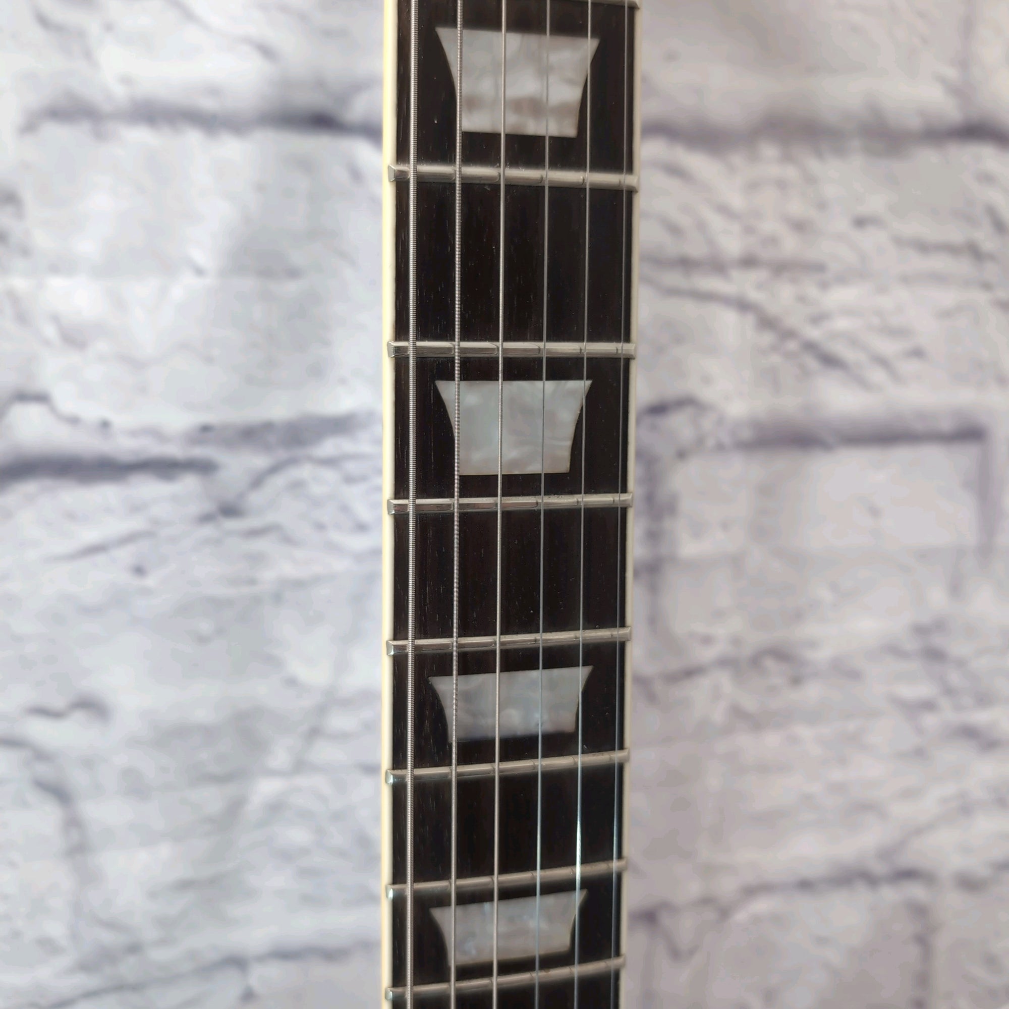 Firefly JSN 338 Semi Hollow Body Electric Guitar - Purple