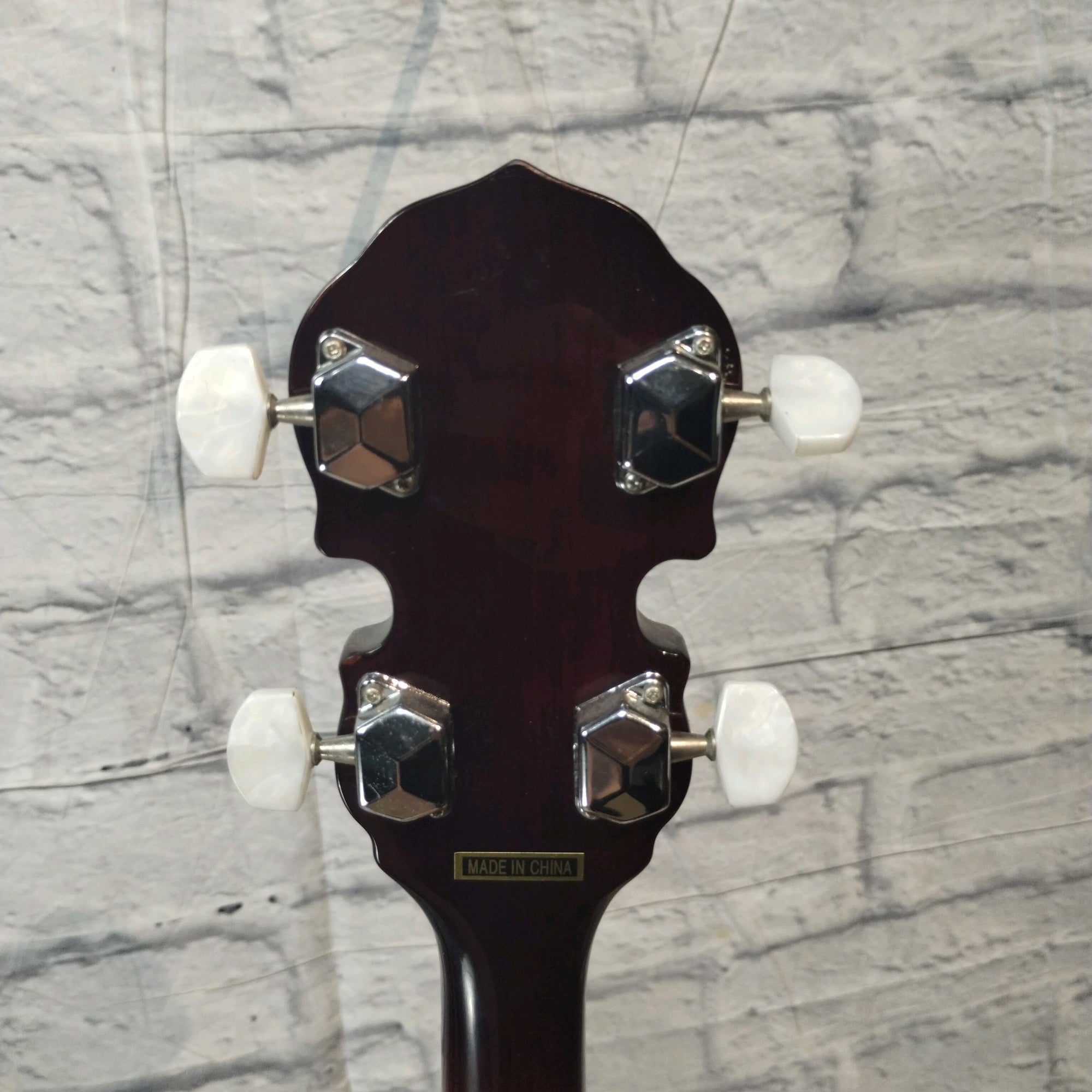 Johnson JB-100 5-String Banjo w/ Hard Case