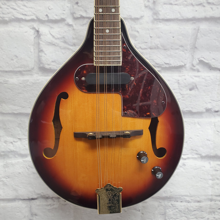 Fender FM-52SE Mandolins w/ Hard Case