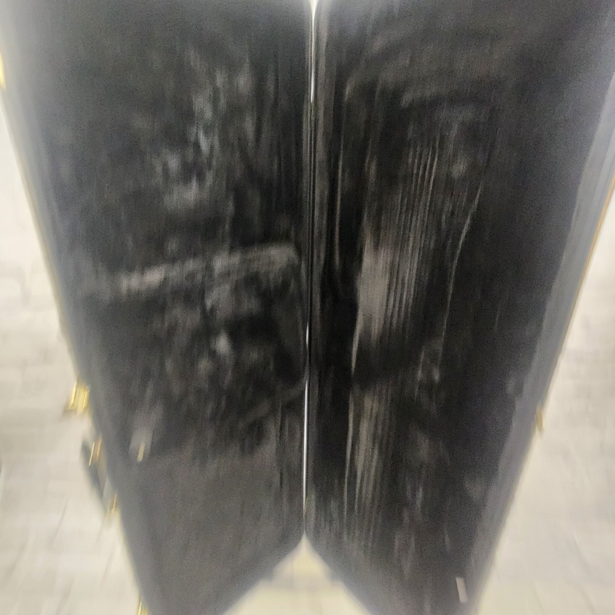 Unknown Bass Gig Bag