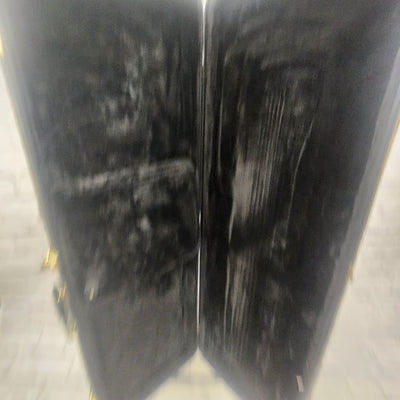 Unknown Bass Gig Bag