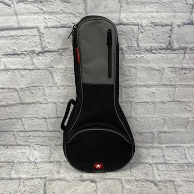 Roadrunner Mandolin Gig Bag