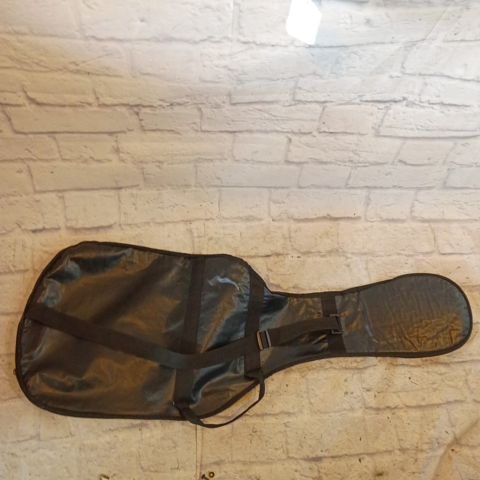 Unknown Electric Gig Bag