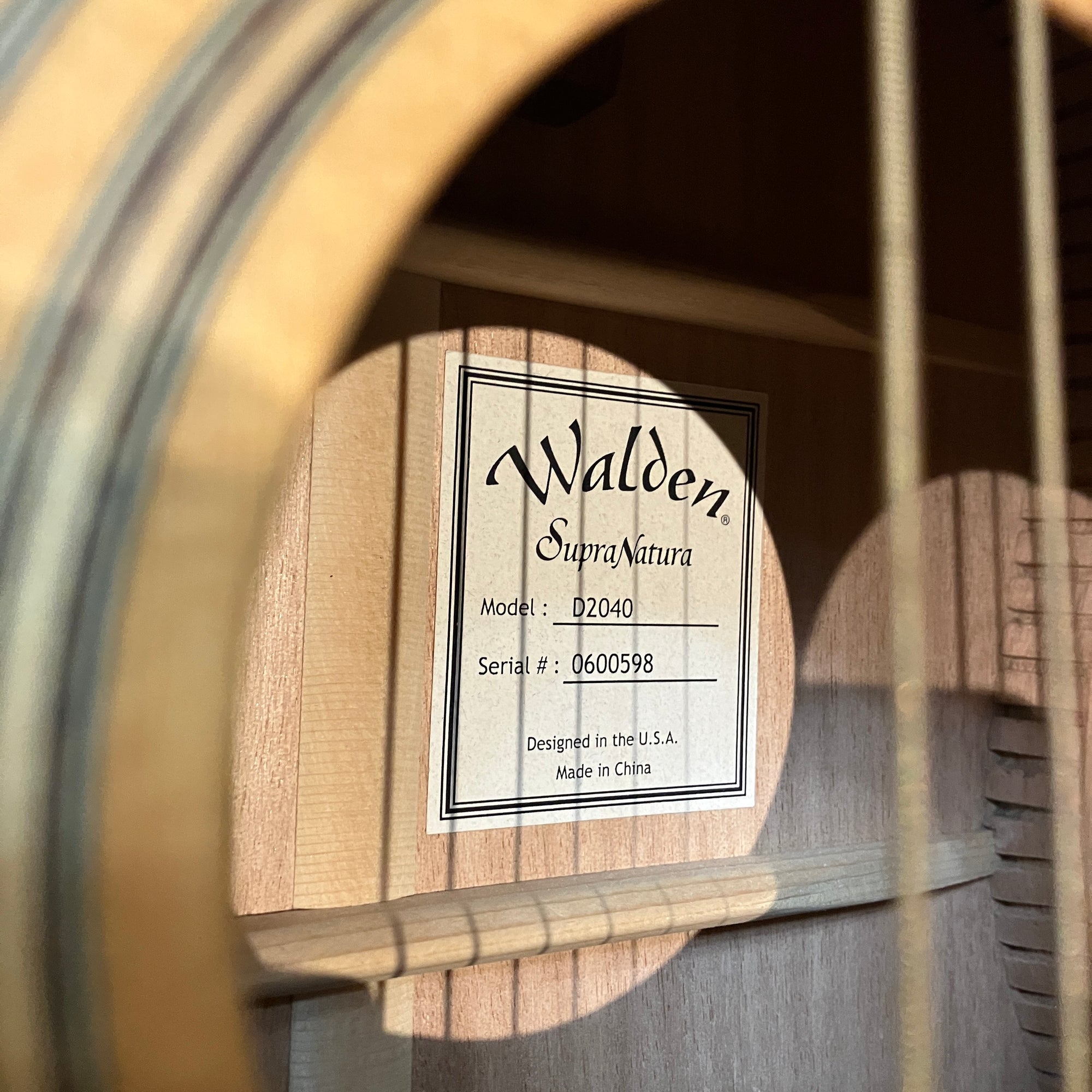 Walden Supranatura D2040 Acoustic Guitar w/ case