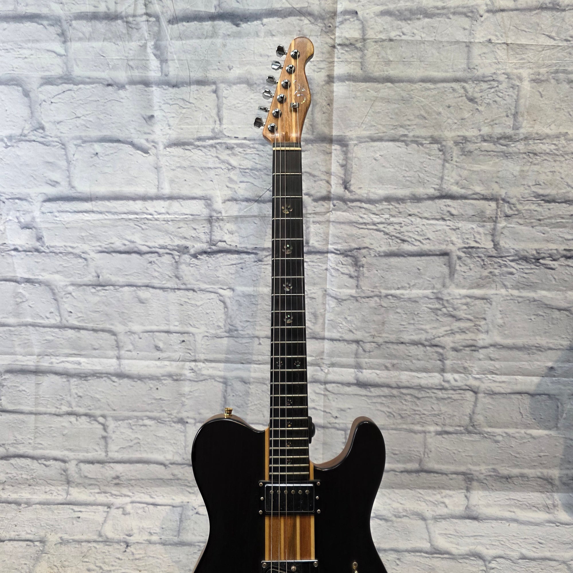 Aio (All In One) AIO TC1-HH  Dark Walnut Electric Guitar