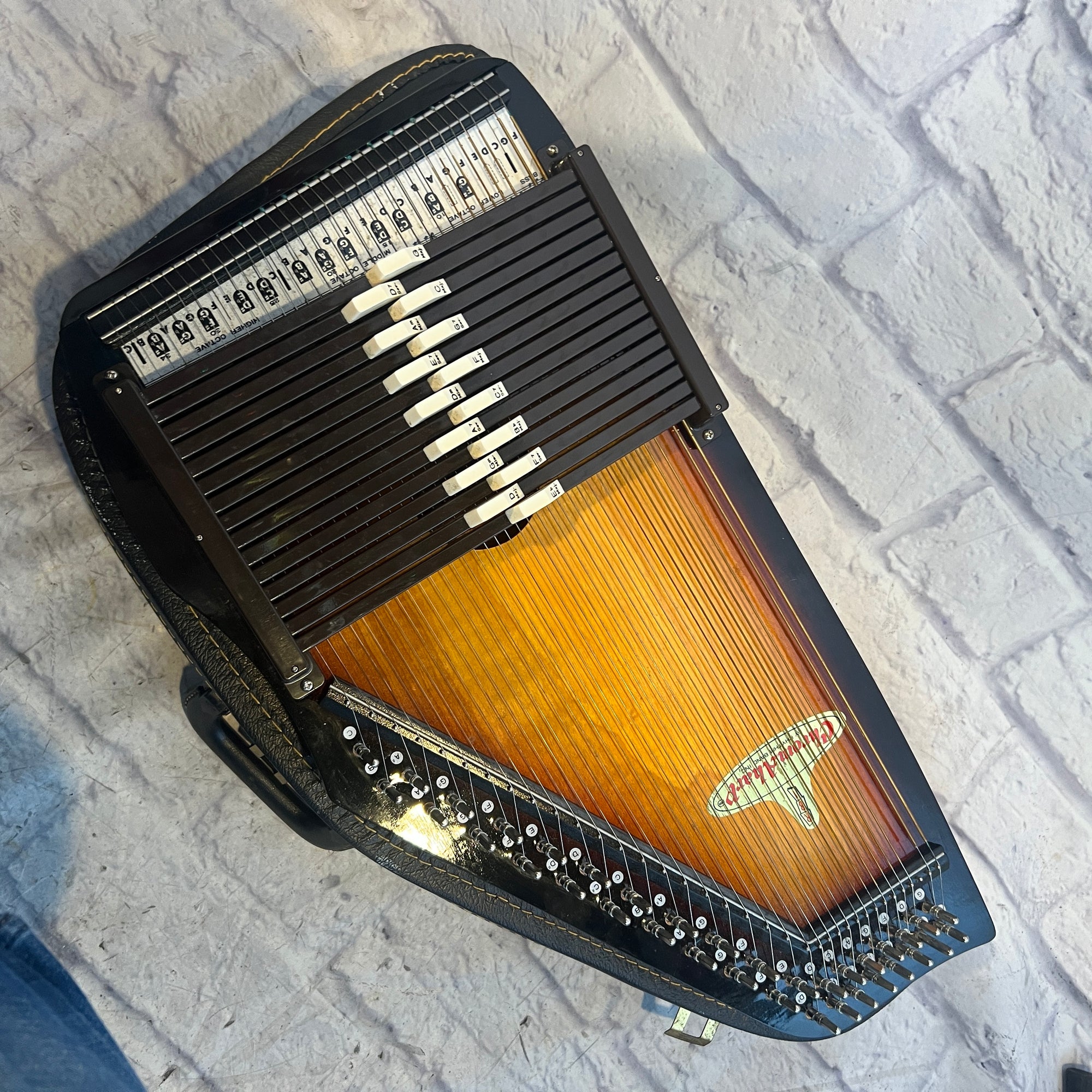 Rhythm Band Inc Chromaharp Autpharp with Case