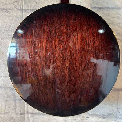 Rogue Banjolin Banjo - Mandolin Hybrid