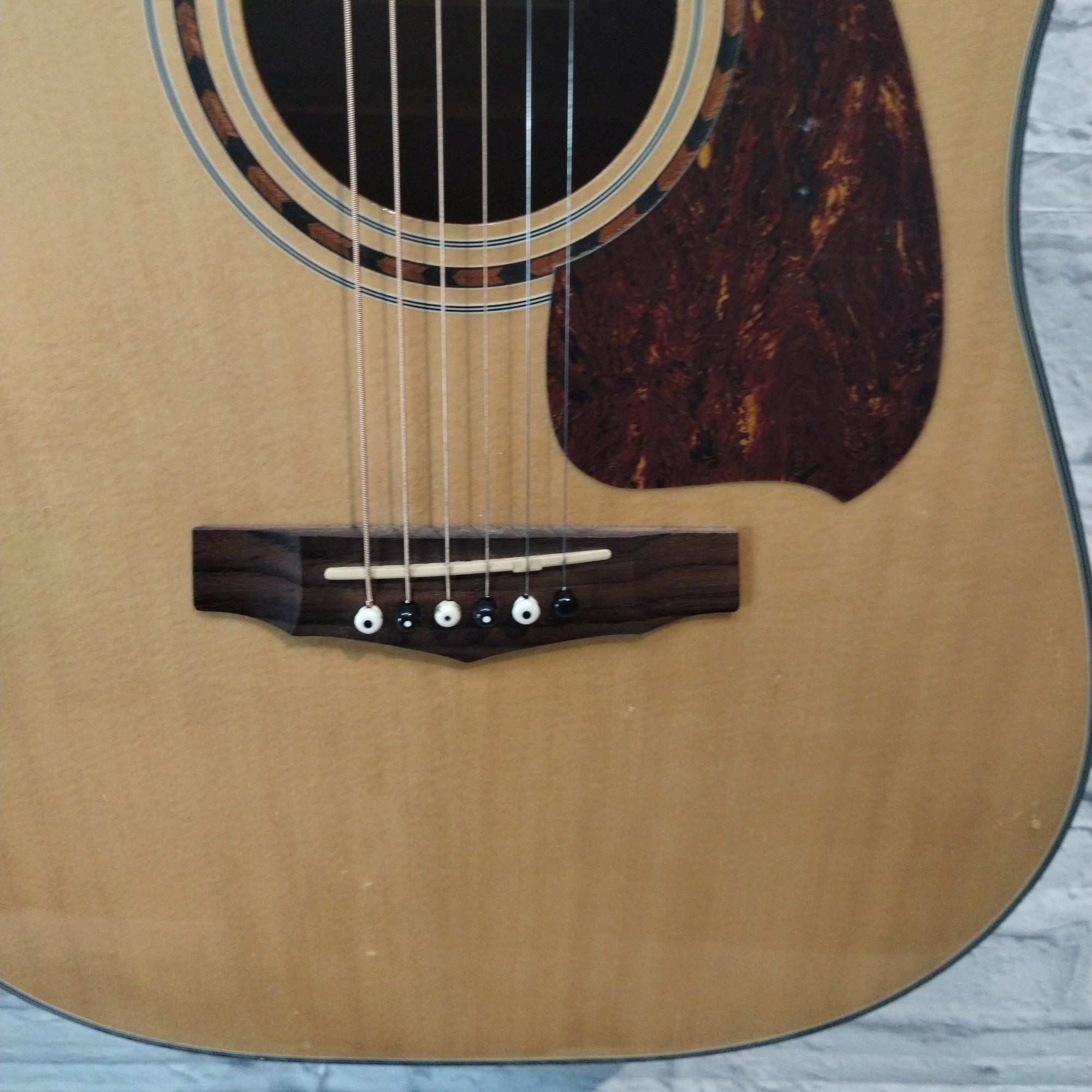 Ibanez PF5ece Acoustic Electric Guitar