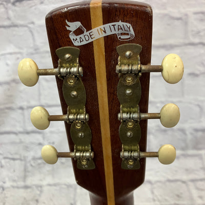 Vintage Made in Italy Acoustic Guitar Neck