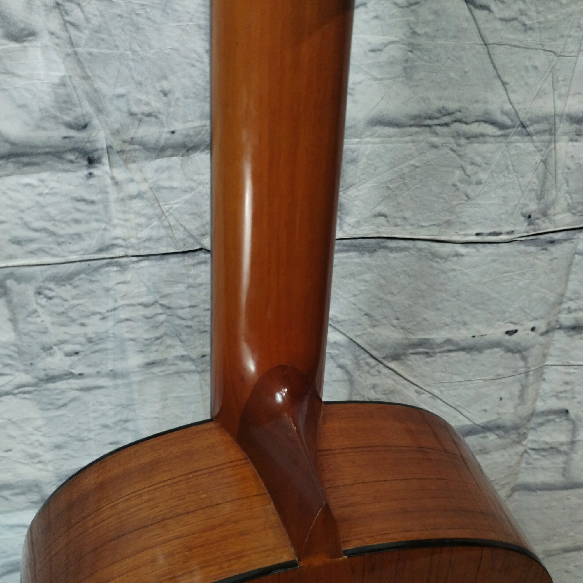 Tokai Dorado Classical Guitar
