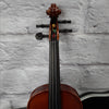 Amati 1/2 Violin w/ Hardcase