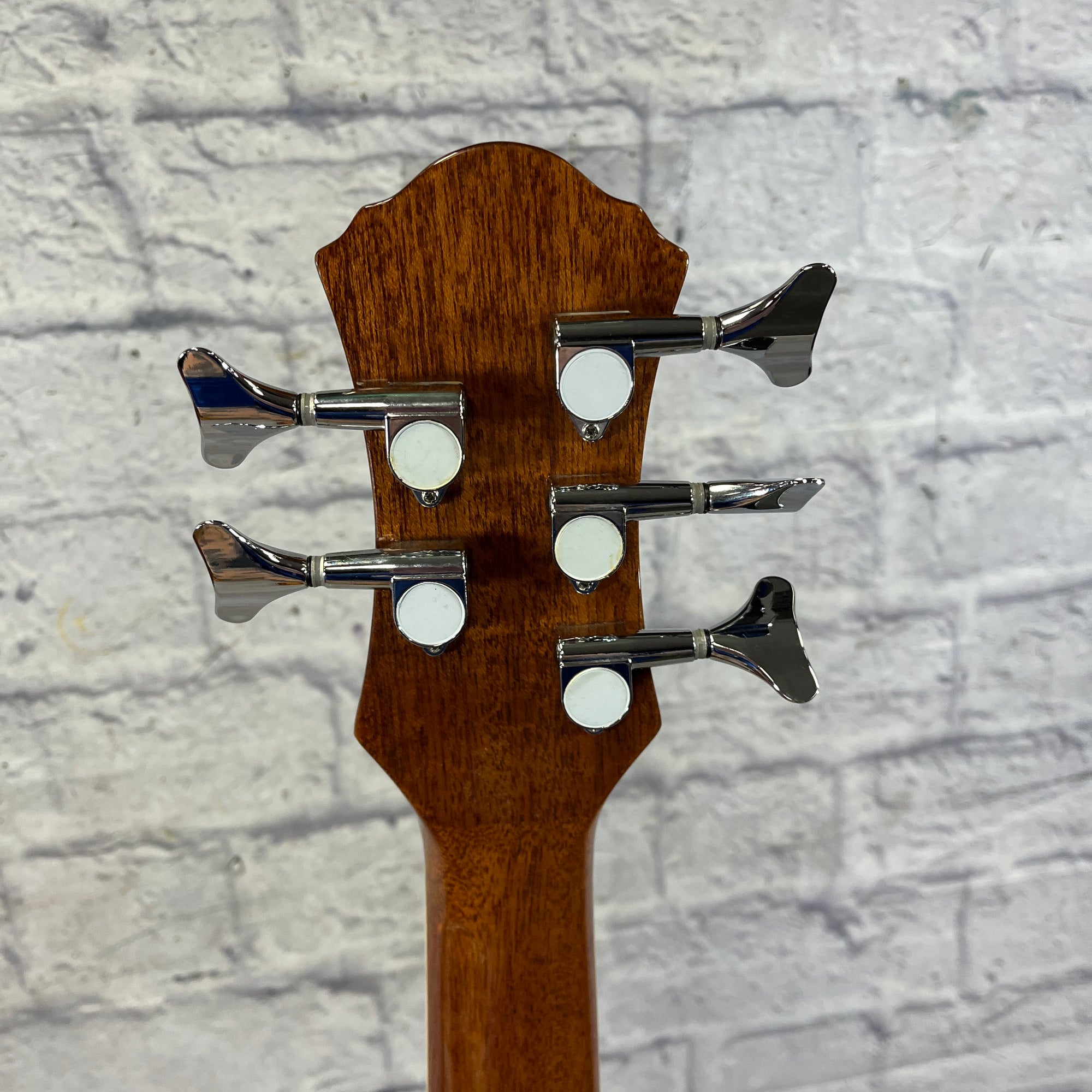 Michael Kelly MKCC5N 5 String Acoustic Bass with Hard Case