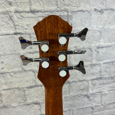 Michael Kelly MKCC5N 5 String Acoustic Bass with Hard Case