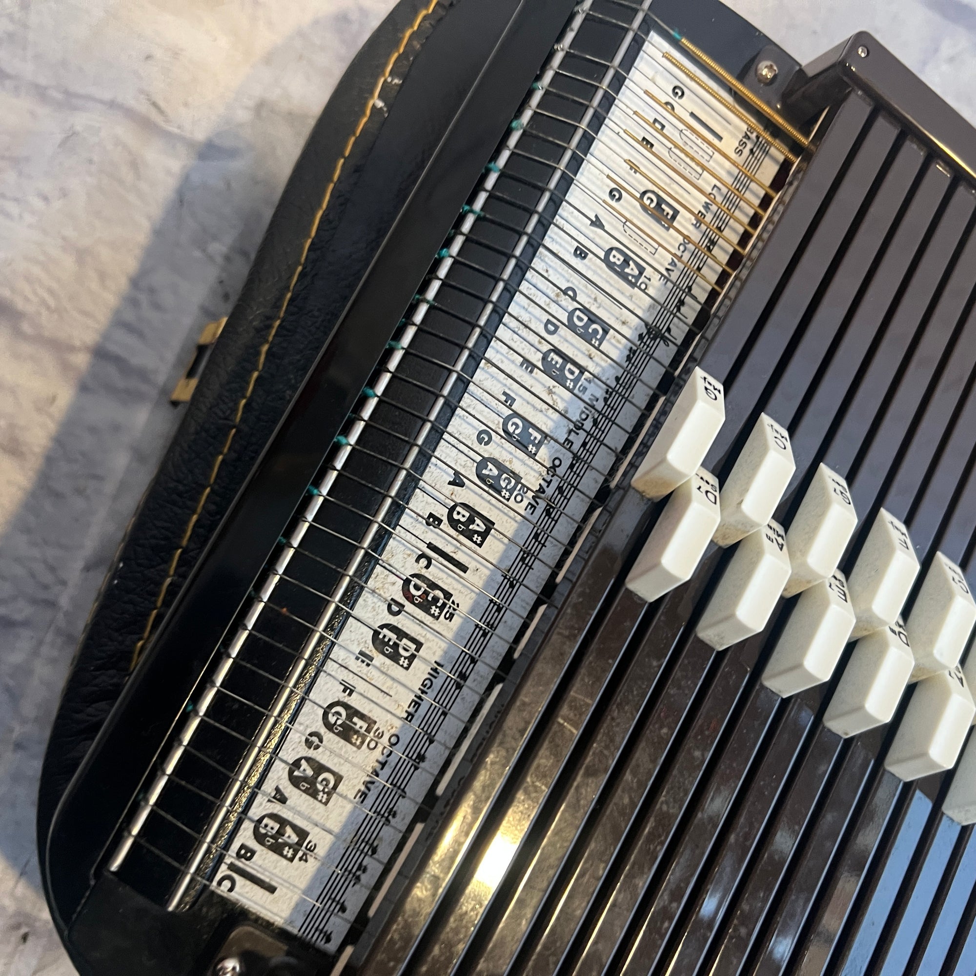 Rhythm Band Inc Chromaharp Autpharp with Case