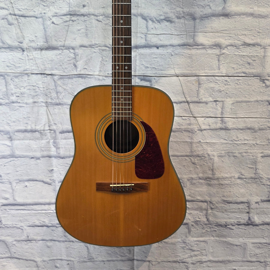 Fender Dreadnaught DG20s Nat Acoustic Guitar
