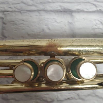 Vox Cornet with Case