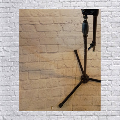 Ultimate Support Boom Microphone Stand