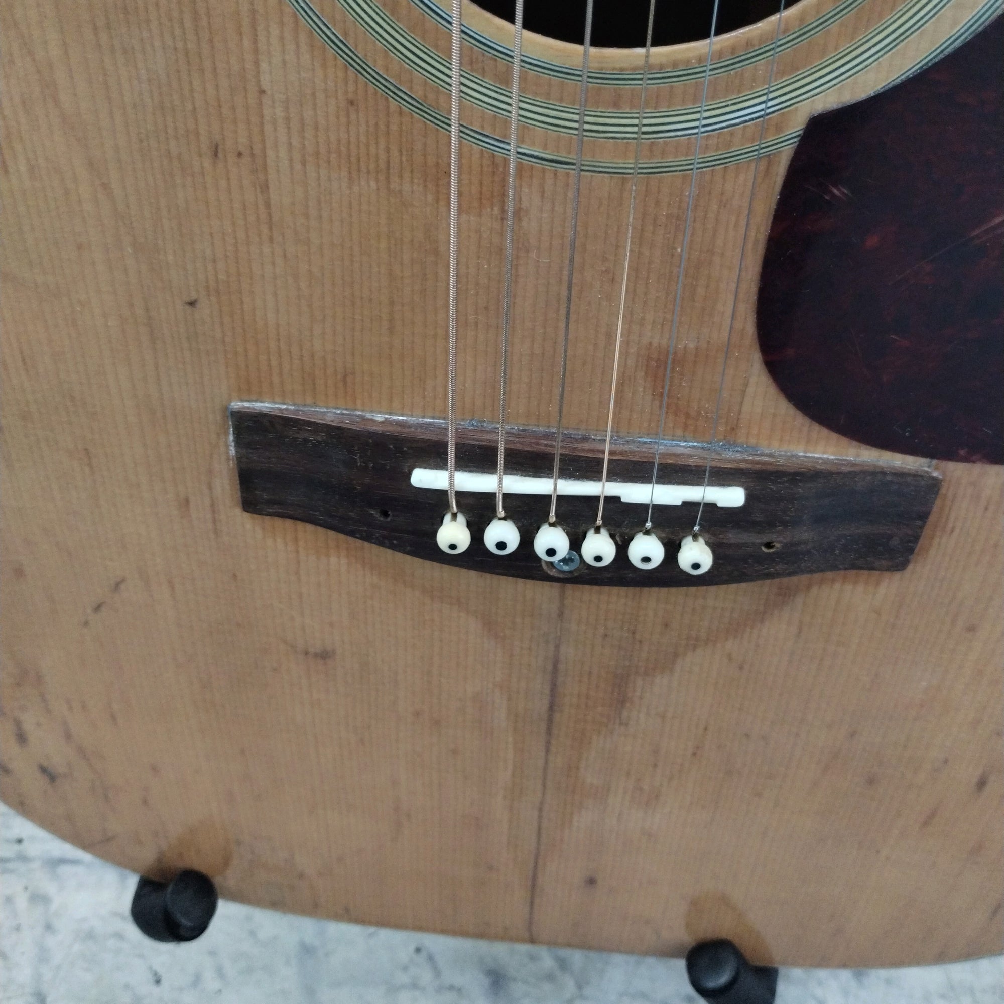 Sakura SW 63 (w/ Electric mod) Acoustic Guitar