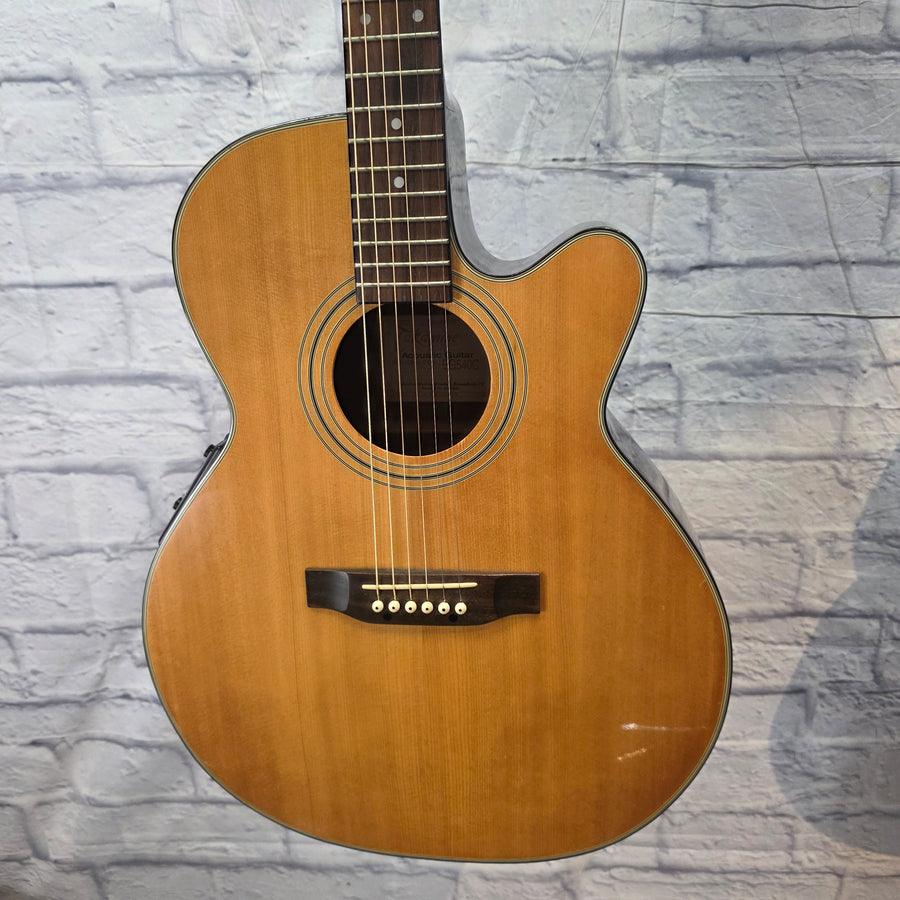 Takamine EG540C Acoustic Guitar