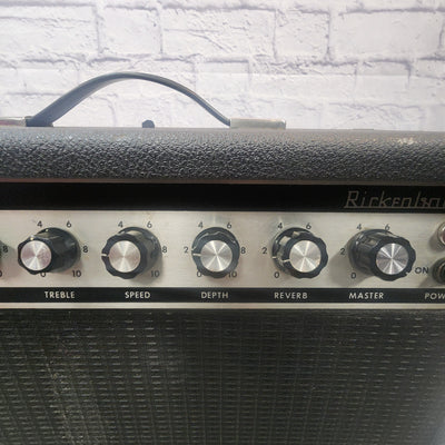 Rickenbacker TR-25 Guitar Combo Amp