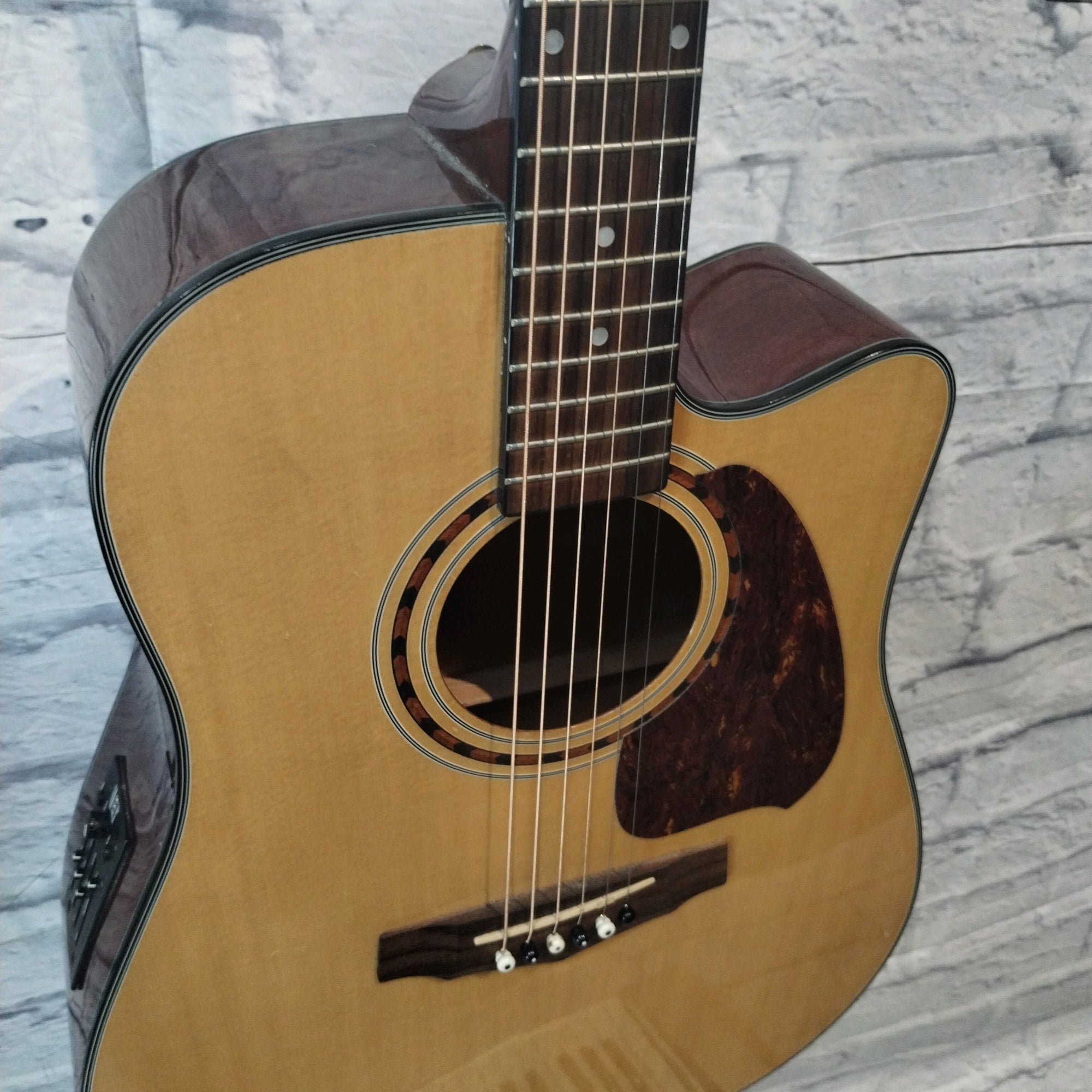 Ibanez PF5ece Acoustic Electric Guitar
