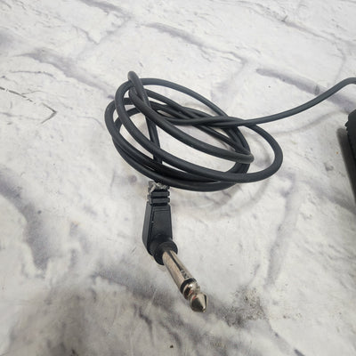 Roland Sustain Pedal